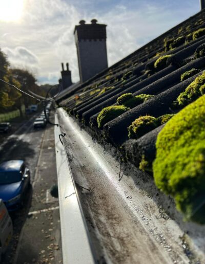 Professional Gutter Cleaning Services