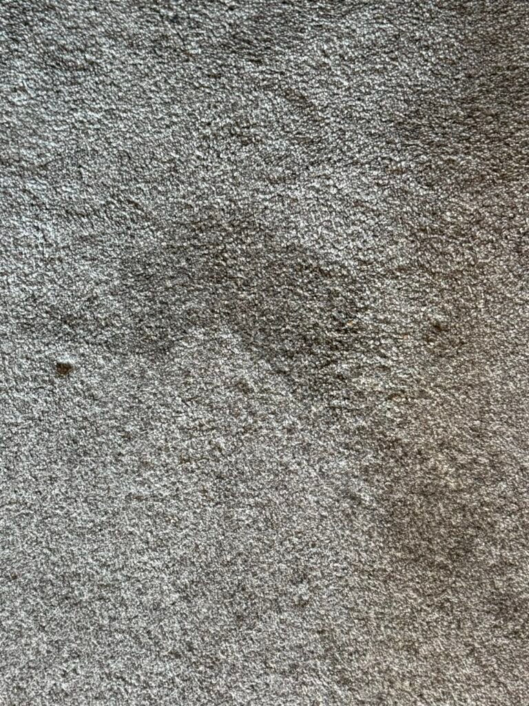 Heavily stained carpet before professional cleaning