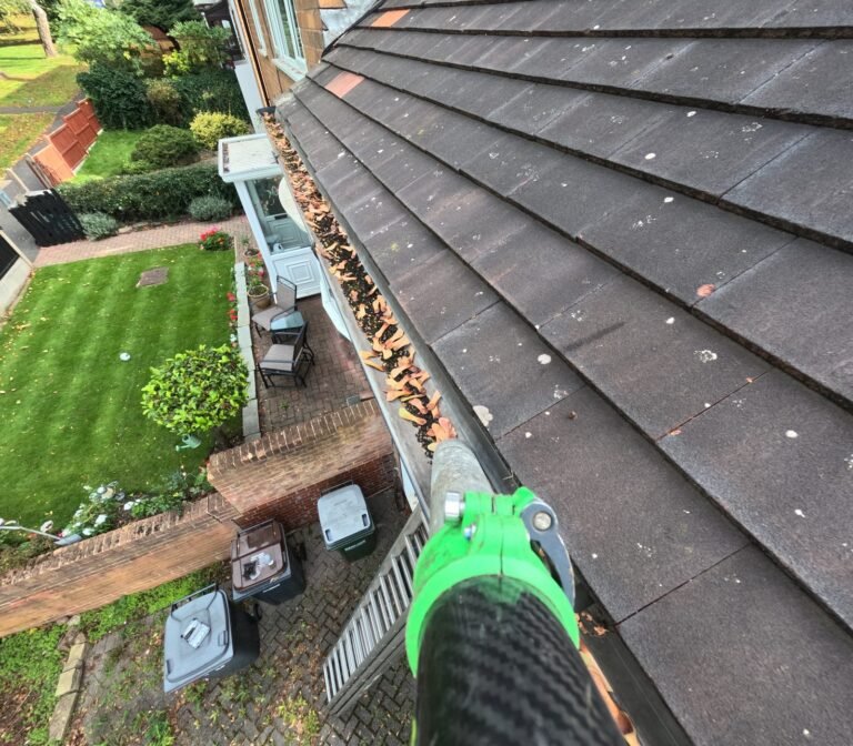 Gutter packed with leaves and debris before cleaning, slate roof