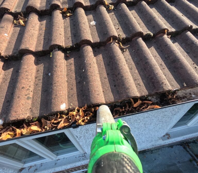 Gutter full of leaves before cleaning, concrete tile roof